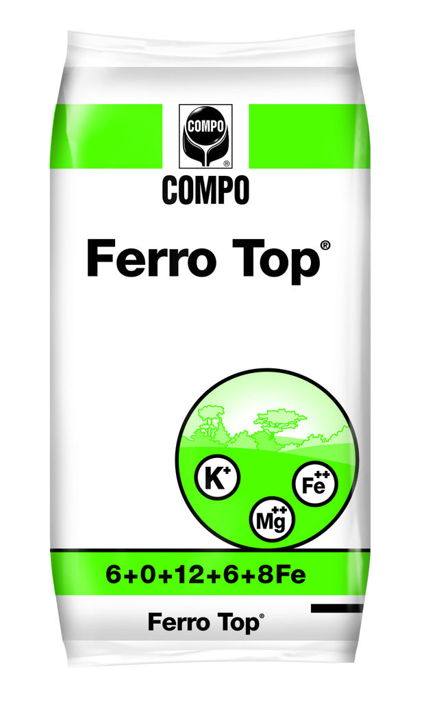 Ferro Top